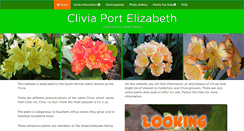 Desktop Screenshot of cliviape.co.za